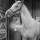 Horses in Movies – Phar Lap, War Horse & Others